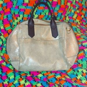 Shimmery gold fossil purse